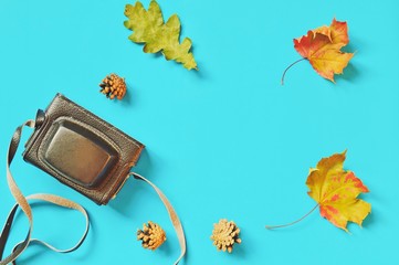 Autumn flat lay photo/ Vintage camera, dry leaves of maple and oak, forest cones. Mock up for blog