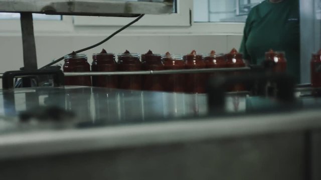 conveyor of cans