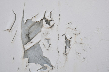 塗料の剥がれ-2