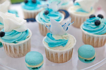 cupcakes and macaroons with blueberries