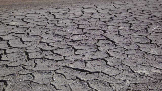 cracked dry earth