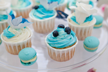 cupcakes and macaroons with blueberries