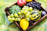 Beautiful autumn harvest