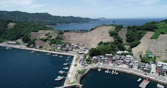 遊子水荷浦の段畑（愛媛県宇和島市）
