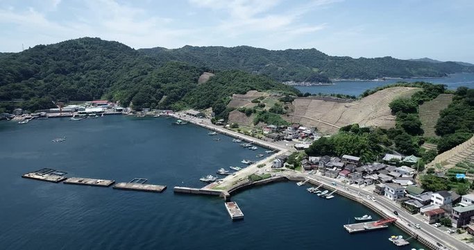 遊子水荷浦の段畑（愛媛県宇和島市）
