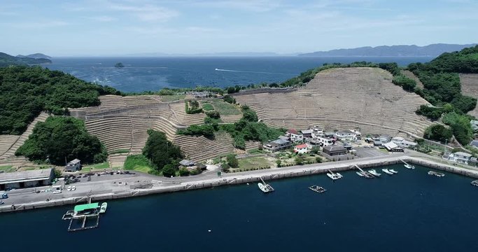 遊子水荷浦の段畑（愛媛県宇和島市）