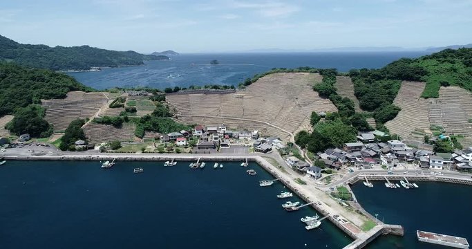 遊子水荷浦の段畑（愛媛県宇和島市）