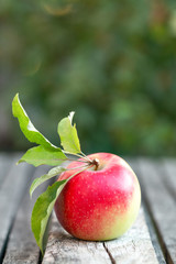 Apple on a wooden garden table, in the background green, leaves, trees. Place for text.