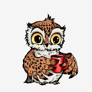 Vector cute Owl Hand drawn cartoon character.