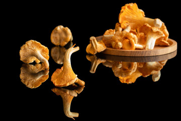 Mushrooms chanterelles, on a wooden plate and a black background, reflections.