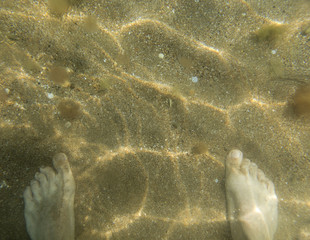 seabed, underwater photography
