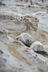 scogliera di porto ferro, Sardegna