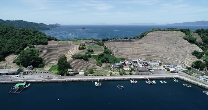 遊子水荷浦の段畑（愛媛県宇和島市）