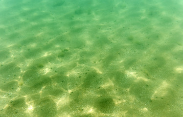 seabed, underwater photography
