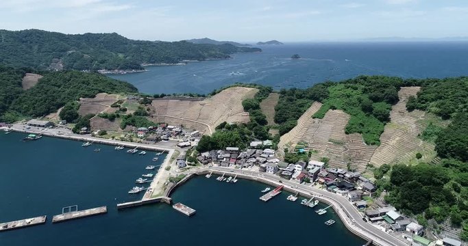 遊子水荷浦の段畑（愛媛県宇和島市）