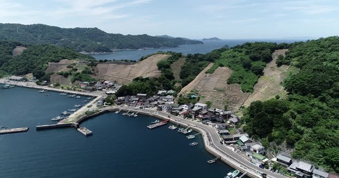 遊子水荷浦の段畑（愛媛県宇和島市）