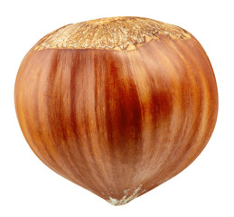 Hazelnut isolated Clipping Path