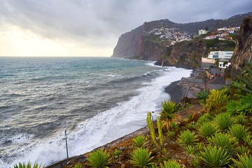 View of Cape Girão with Cactus on the foreground in Camara de Lobos, Madeira