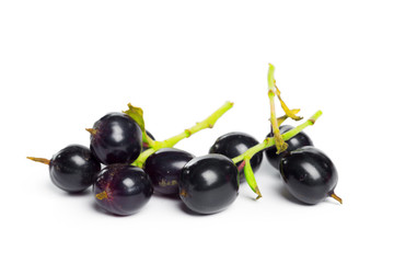 Berries black currant with green leaf. Fresh fruit, isolated on white background.
