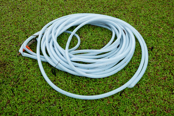Roll ofl the tree watering hose on green grass