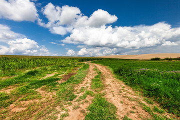 Fototapeta na wymiar Long and winding rural road crosses the hills and fields