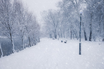 Winter snowy city park alley. Trees covered with snow. Winter season park