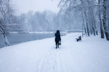 Winter snowy city park alley. Trees covered with snow. Winter season park