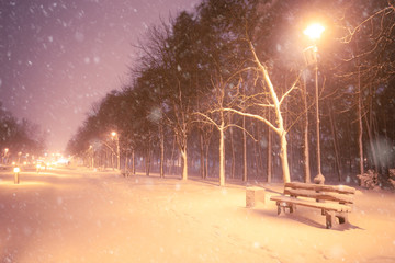 Night winter snowfall landscape. Snowy alley of city illuminated park