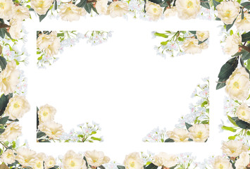 Abstract design of flowers frame isolated over white background
