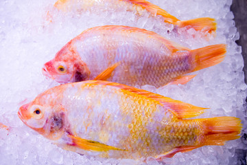 Fototapeta premium The iron clamp holds fresh fish in a tray with ice on the market For self-catering. Quality control in the market. Reduce the danger of food contamination by cooking yourself.