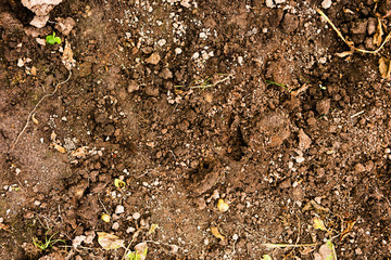 The soil from the farm with clod on top