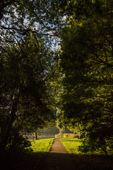 Fototapeta premium Forest path