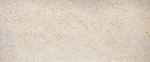 shot of rice background, main food of asian countries. image for background, wallpaper and copy space. texture of nature. important economy agriculture.