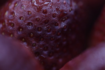 closed up fresh strawberry 