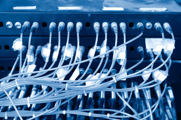 network cables connected in network switches