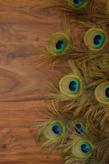 Fototapeta premium peacock feathers background