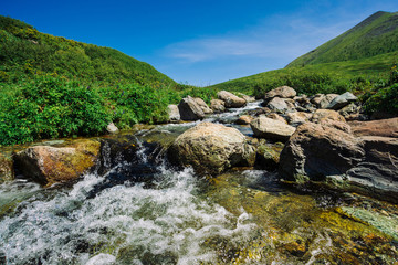 Mountain creek with big boulders in sunny green valley near hills under blue sky. Clean water stream in fast brook in sunlight. Amazing landscape of Altai nature.