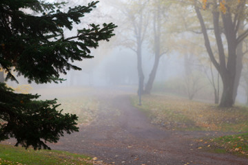 Empty park at foggy autumn morning