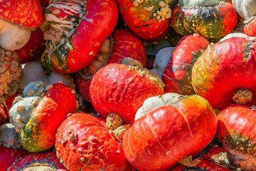 Ein haufen Kürbisse rot