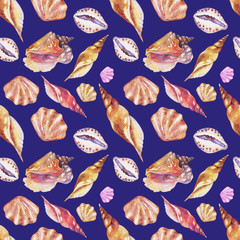 Shells on the bottom of the sea. pattern, watercolor - 221963987