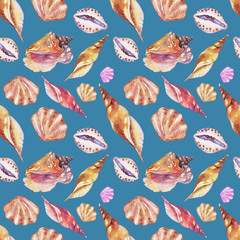 Shells on the bottom of the sea. pattern, watercolor - 221963998