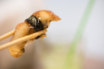 chopsticks hold on sushi freshwater eel grilled. Japanese food for healthy. unagi sushi, premium sushi menu. image for background,wallpaper, copy space and menu list.