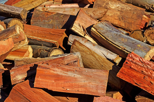 Blue Gum Fire Wood Pile