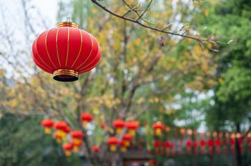Obraz premium Red chinese lanterns hanging on trees