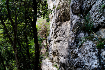 Sentiero di Rio Vitoschio che passa a fianco della montagna