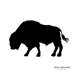 Obraz na płótnie Canvas Black silhouette of bison on white background. Buffalo isolated drawing. Wild bull image. Animals of North America. Vector illustration