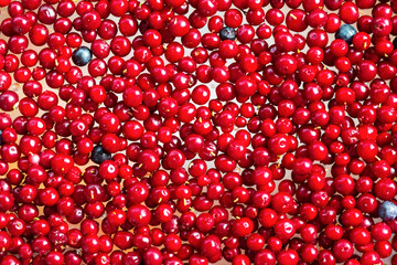 Background of ripe fresh red cranberry berries close-up, natural health food,
