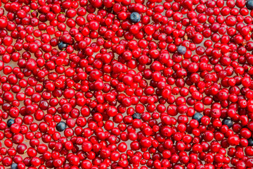 Background of ripe fresh red cranberry berries close-up, natural health food,
