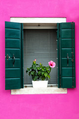 Beautiful window with green shutters and flowers on a pink house wall. Colorful houses on Burano island near Venice, Italy