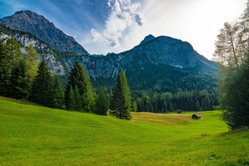 Fototapeta na wymiar A beautiful view on some mountains, forest and pasture on a sunny summer day in Austria, September 2018